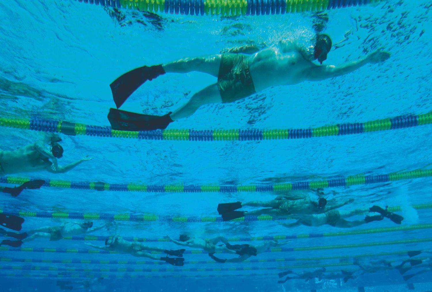 Swimmers practicing laps in a bright blue indoor pool with lane dividers.