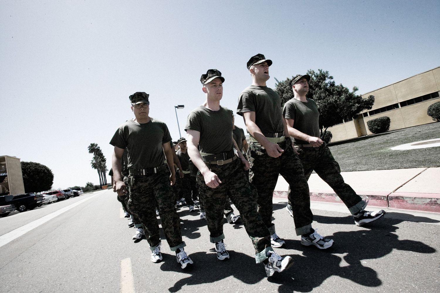 Military recruits performing synchronized physical training exercises on pavement.