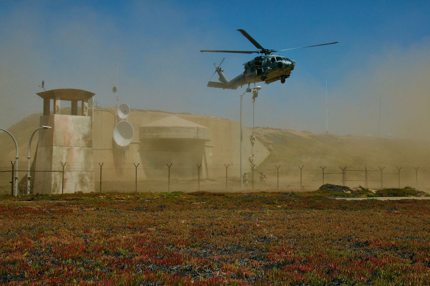 Military helicopters fly over a vibrant field of red and blue wildflowers on a misty morning.