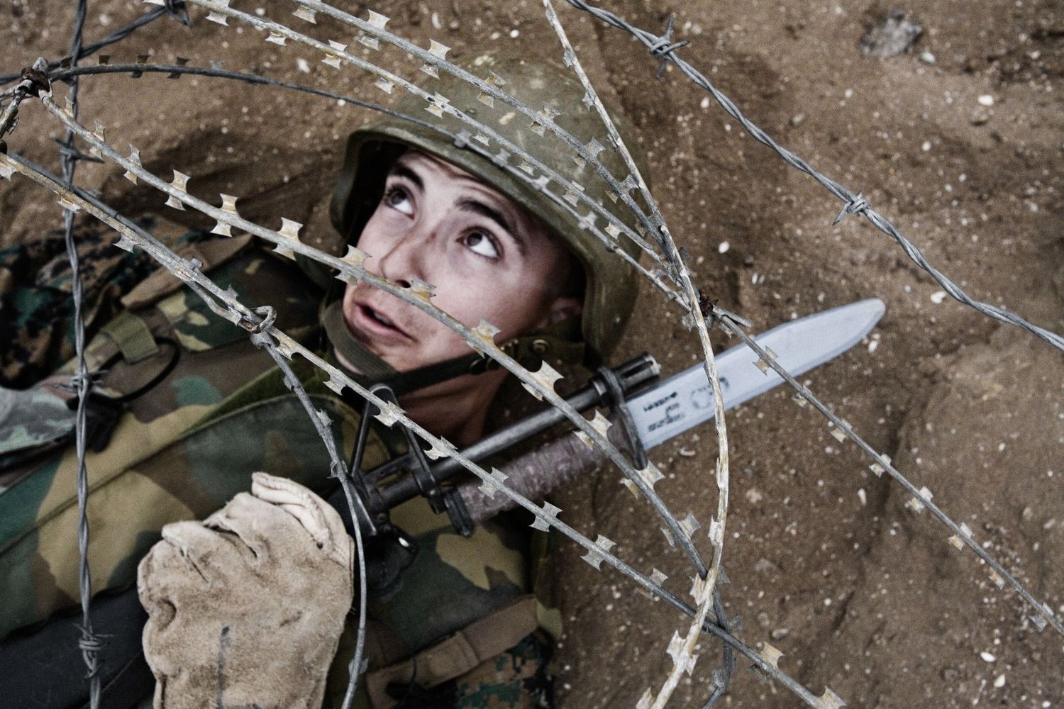 Soldier looking through barbed wire fence during military operation.