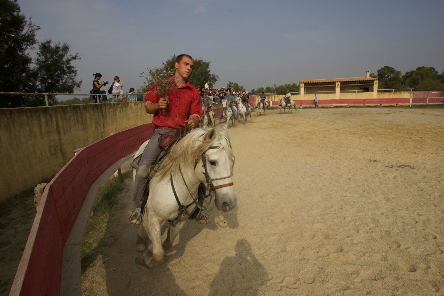 A rider guides a white horse around a sandy arena with red railings.