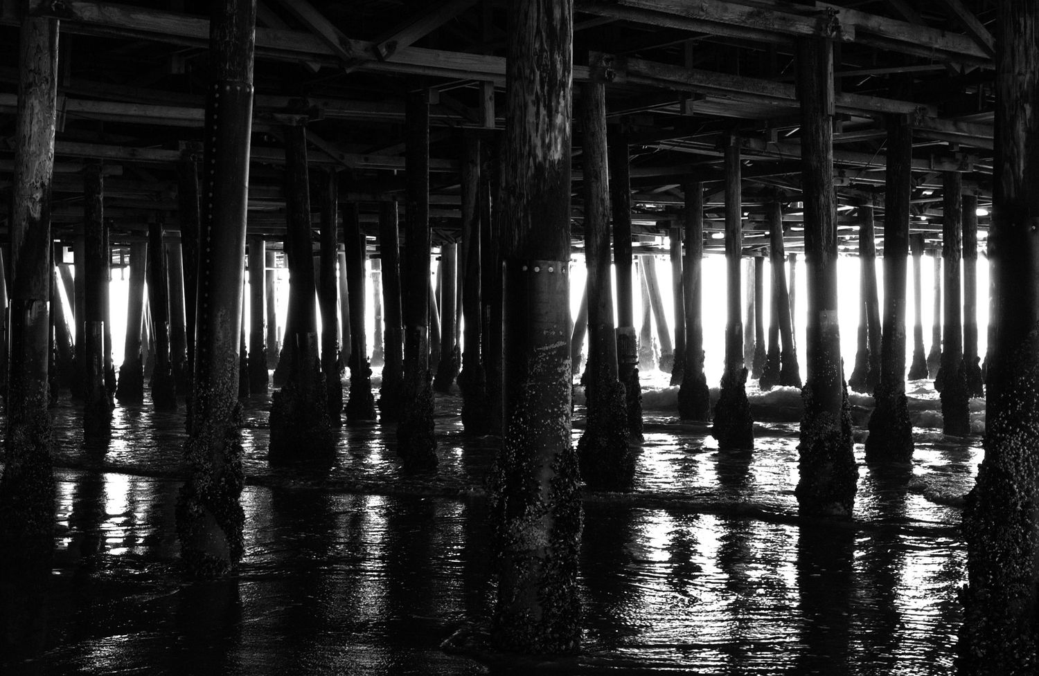 Dark wooden pier pilings silhouetted against water at sunset.