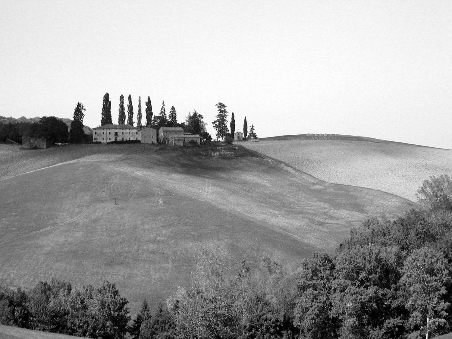 Rolling hills with cypress trees and scattered buildings against a misty horizon.