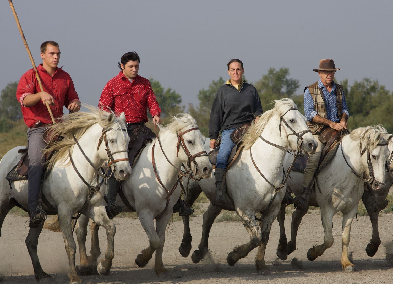 Line of riders on white horses moving across an outdoor terrain.