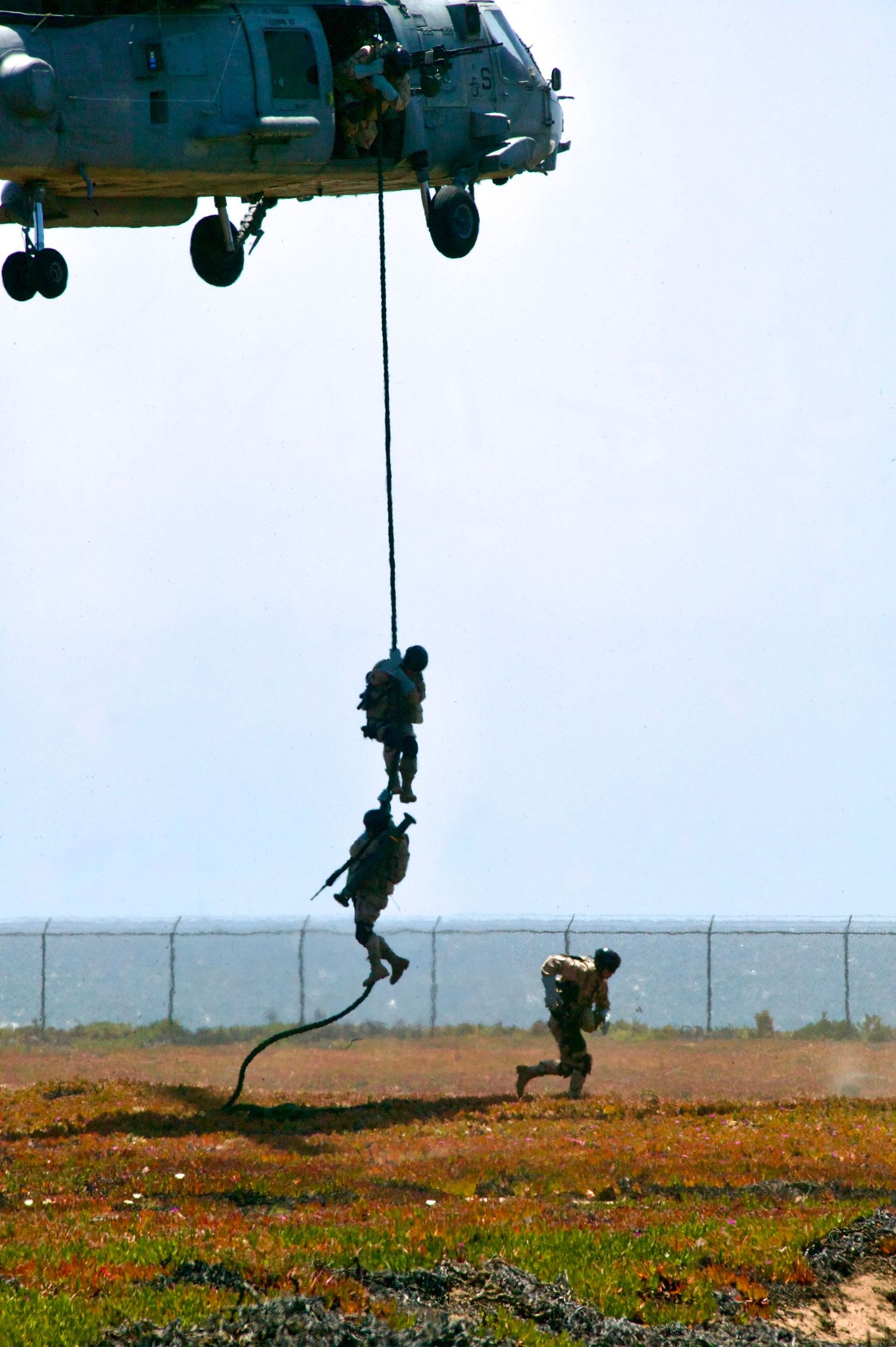 Military personnel rappel down from a helicopter during a training exercise over a field with orange wildflowers.