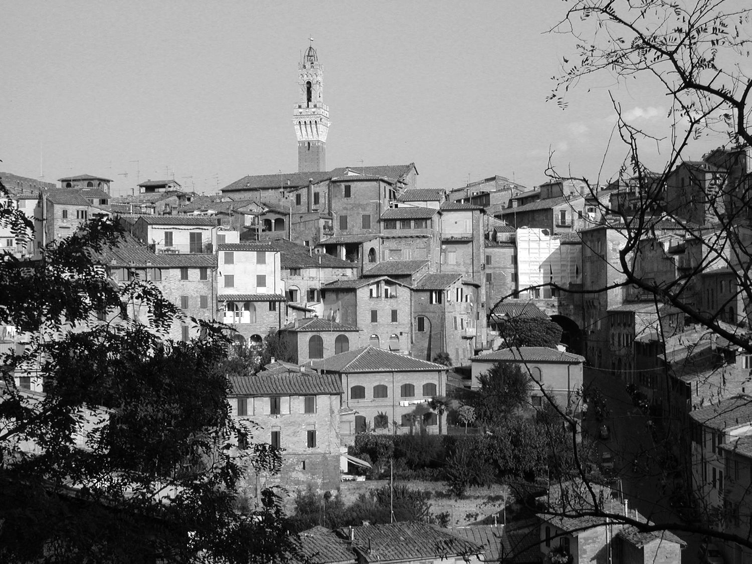 Black and white skyline of a hillside town with traditional Mediterranean buildings.