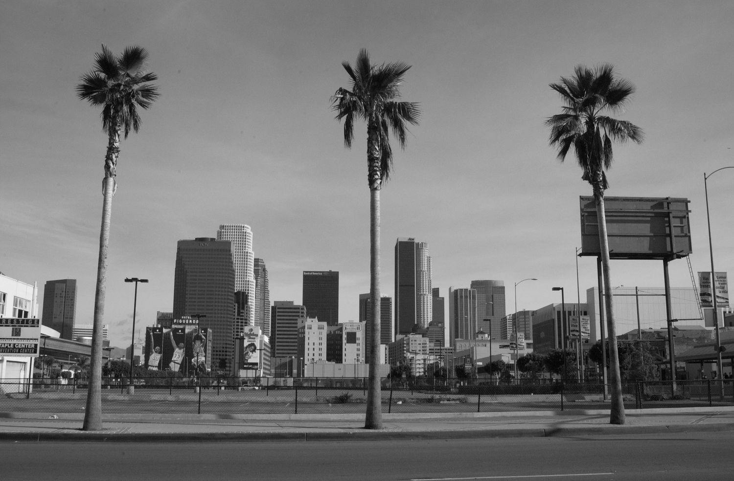 Panoramic cityscape with palm trees and buildings silhouetted against the horizon.