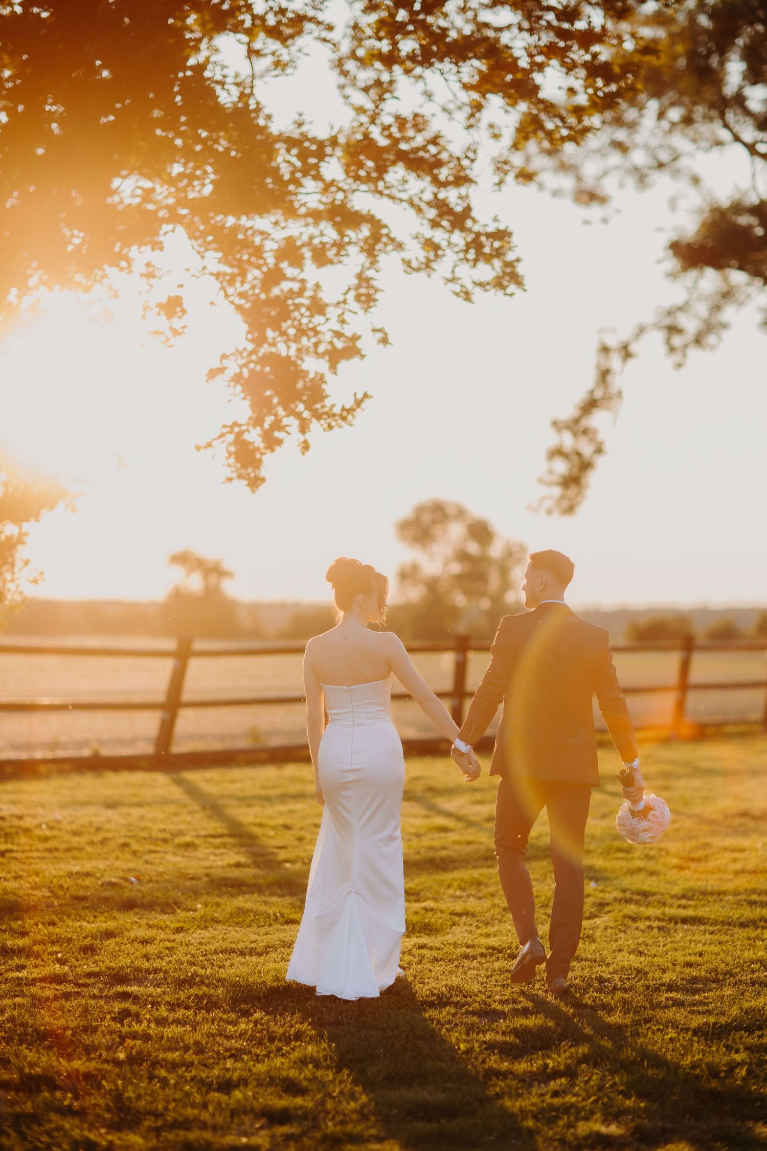 A couple holding hands walking in a sunlit grassy meadow at golden hour as tree branches frame the scene from above.