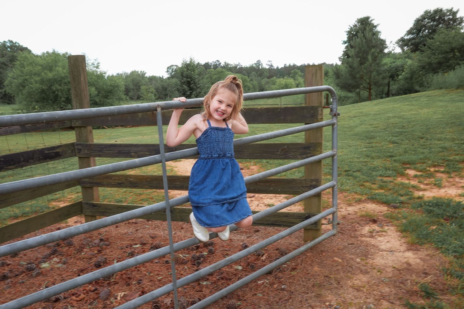 Young child in blue overalls climbing on a metal farm gate in a grassy rural setting.
