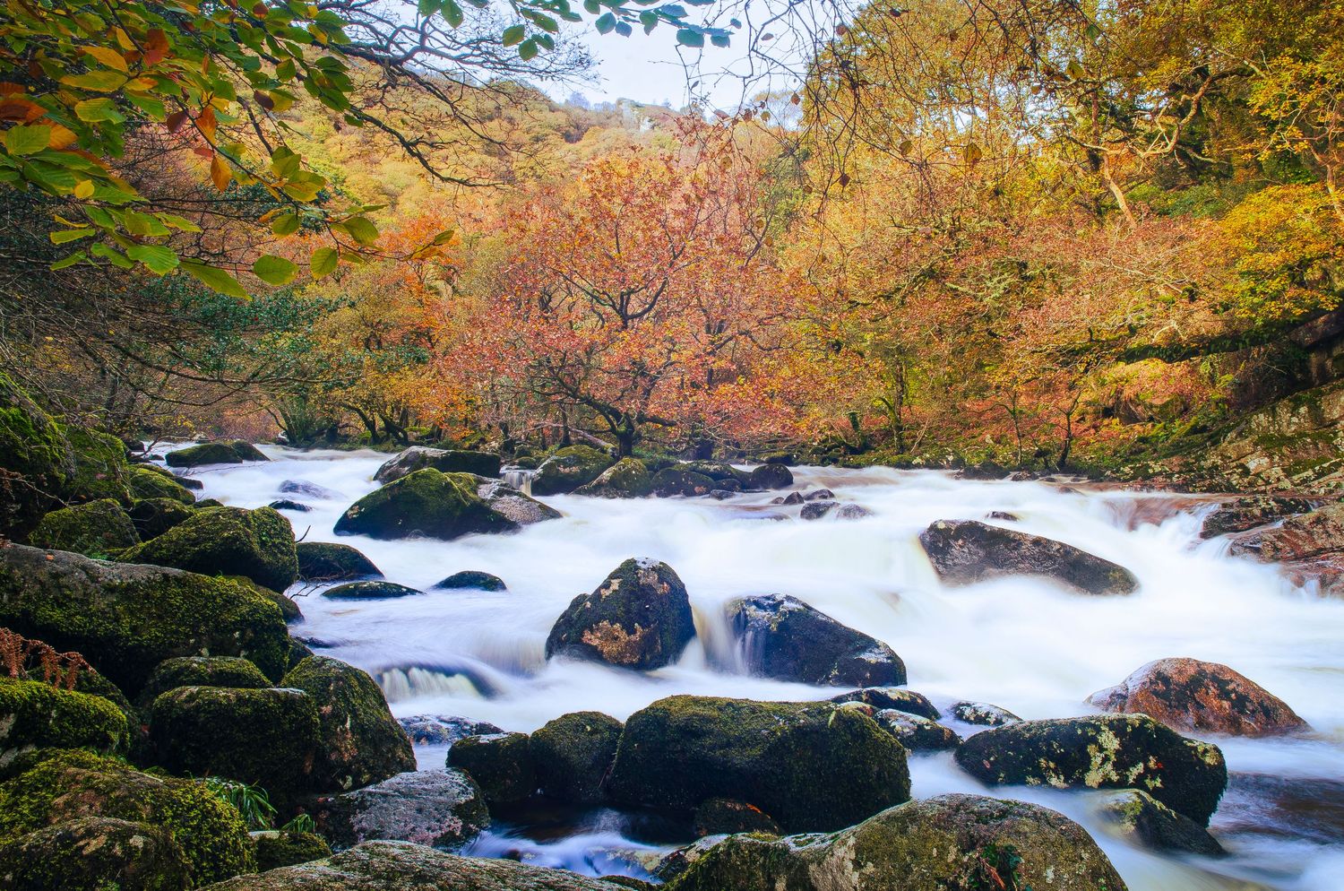 Fast-moving whitewater cascades over dark rocks surrounded by vibrant fall foliage in a mountain stream.