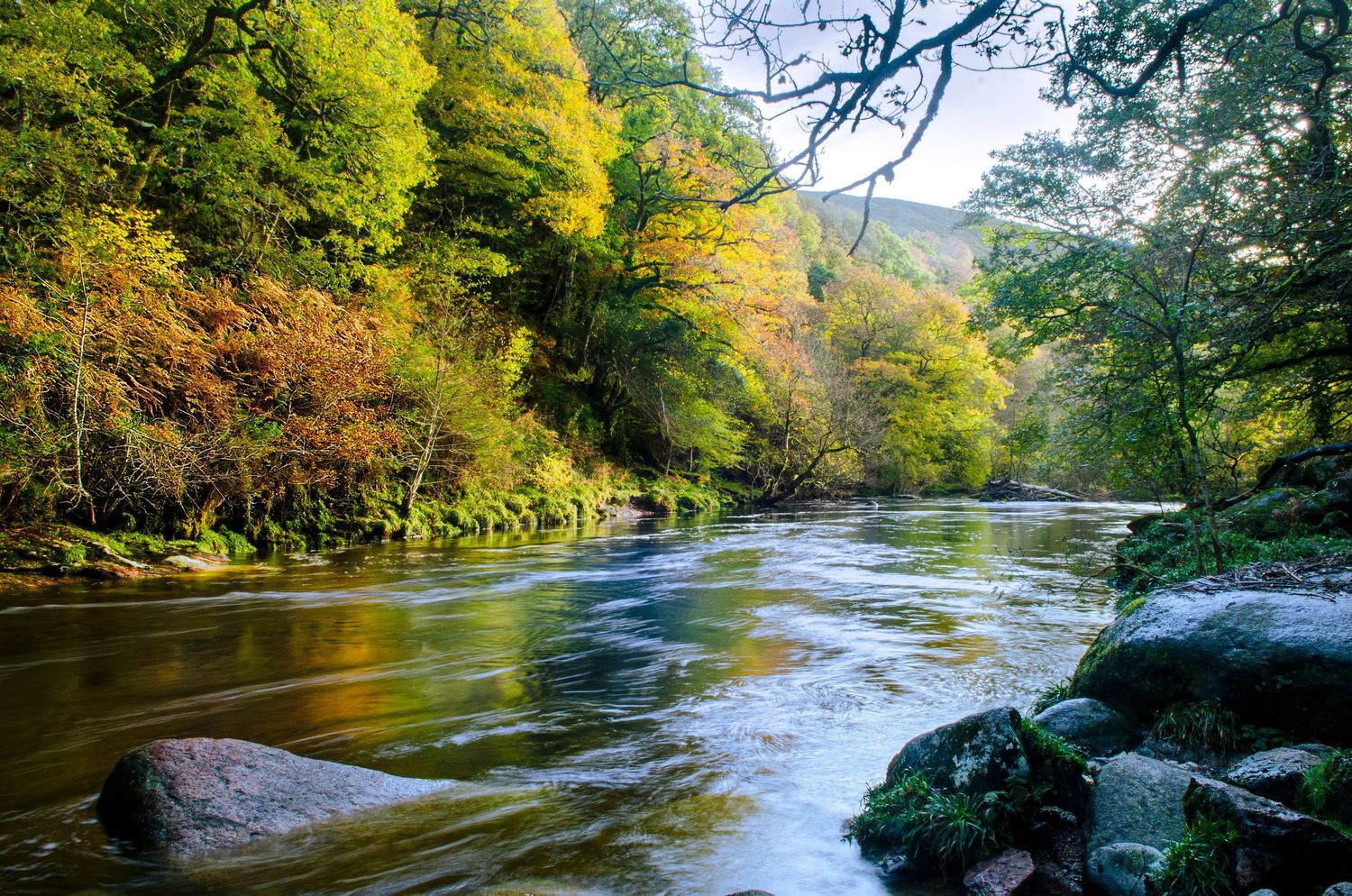 A scenic river flows through autumn forest with golden foliage reflected in calm waters and mossy rocks along the shore.