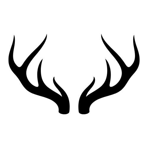 Welcome to the Antler Farm & Gallery – a destination nestled in the heart of Almaguin, where nature, art, come together!