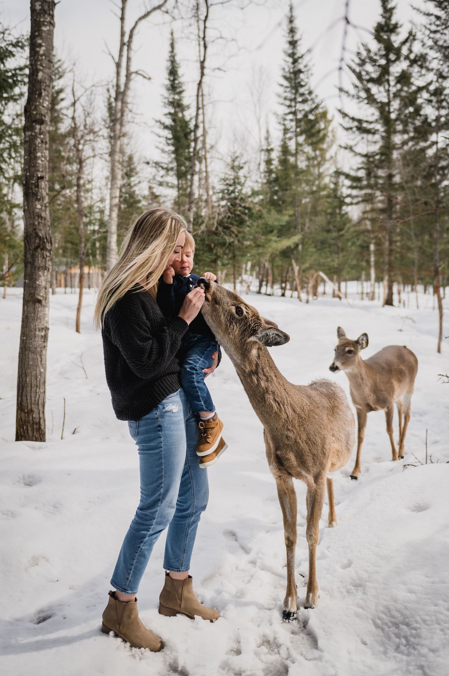 Welcome to the Antler Farm & Gallery – a destination nestled in the heart of Almaguin, where nature, art, come together!