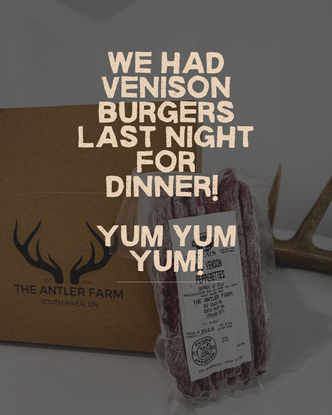 Welcome to the Antler Farm & Gallery – a destination nestled in the heart of Almaguin, where nature, art, come together!