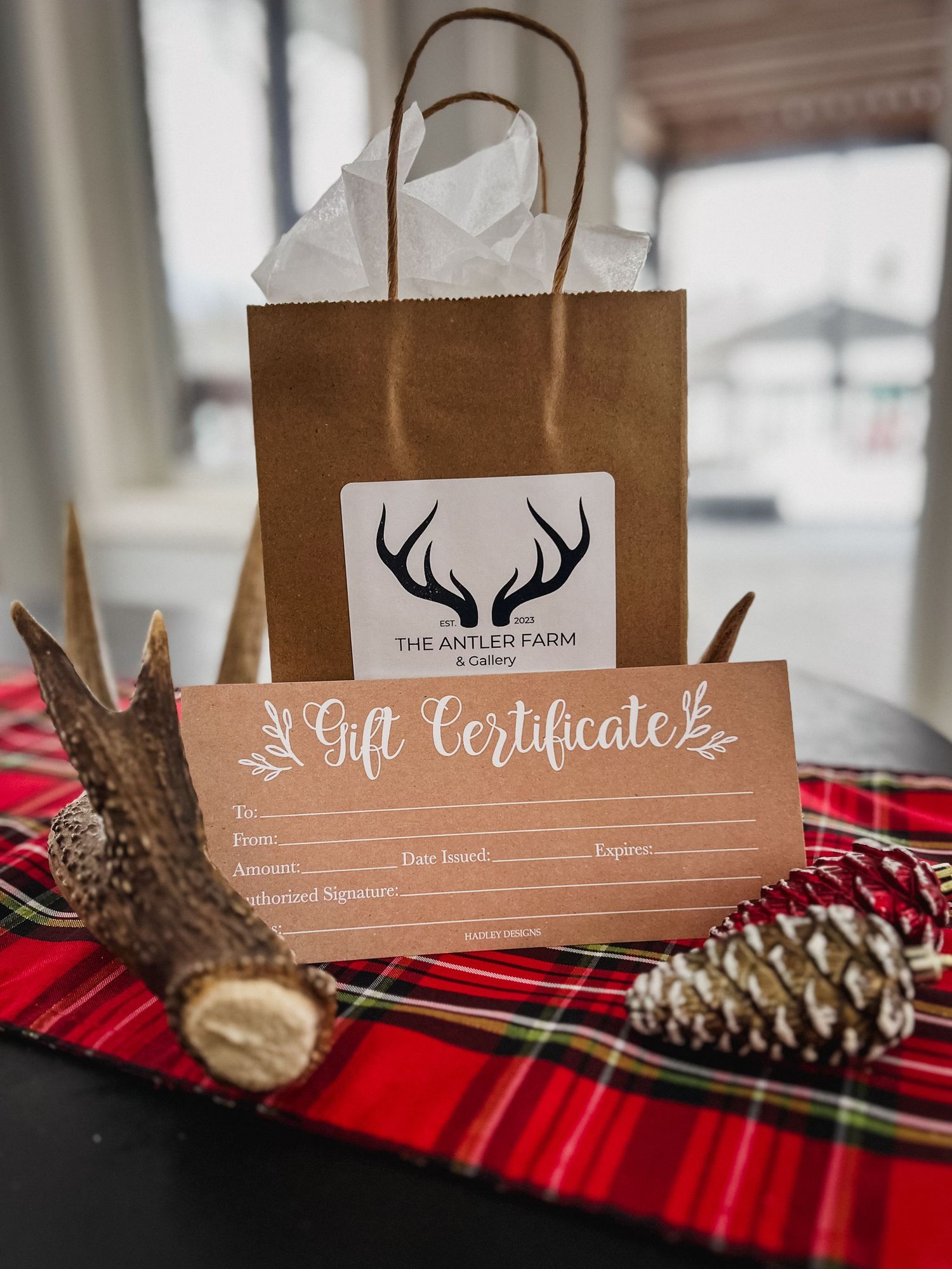 Welcome to the Antler Farm & Gallery – a destination nestled in the heart of Almaguin, where nature, art, come together!