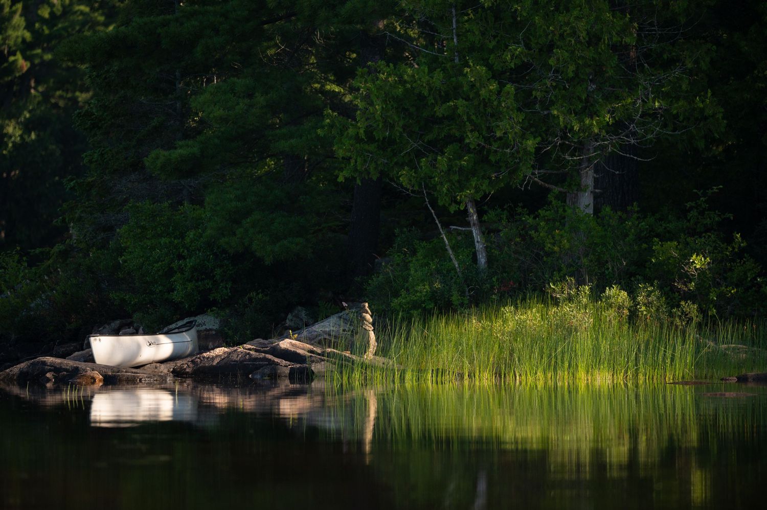 Welcome to the Antler Farm & Gallery – a destination nestled in the heart of Almaguin, where nature, art, come together!