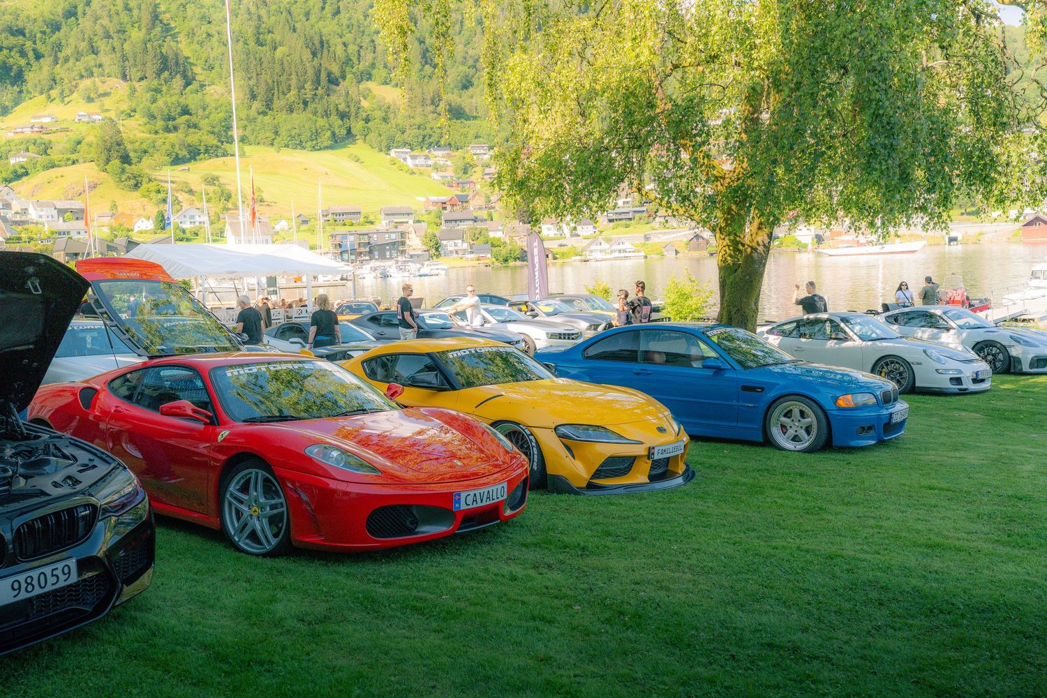 Row of sports cars including a red Ferrari, yellow Toyota Supra and blue BMW parked under a tree at a lakeside car gathering.