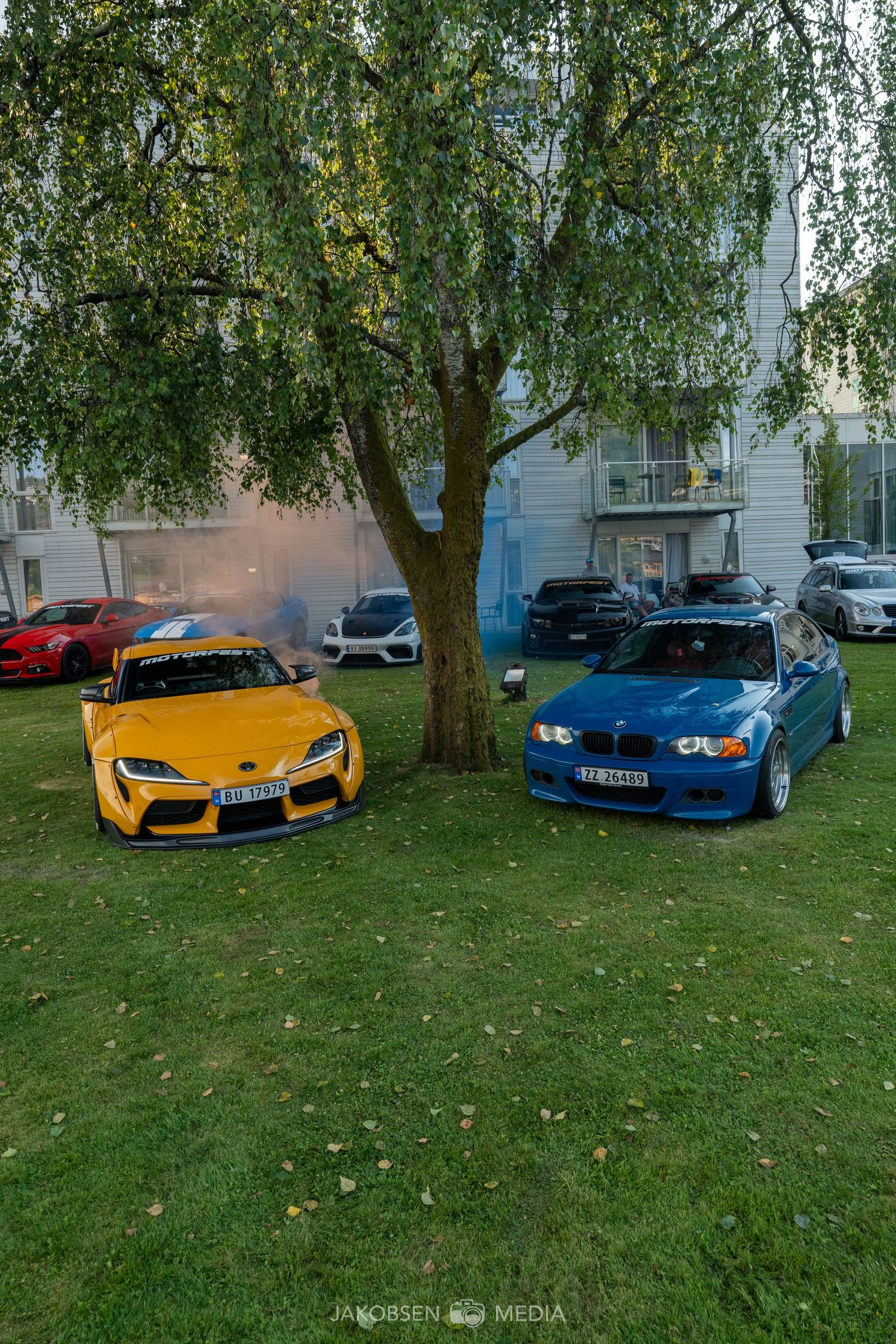 Collection of luxury sports cars displayed on grass under birch trees.