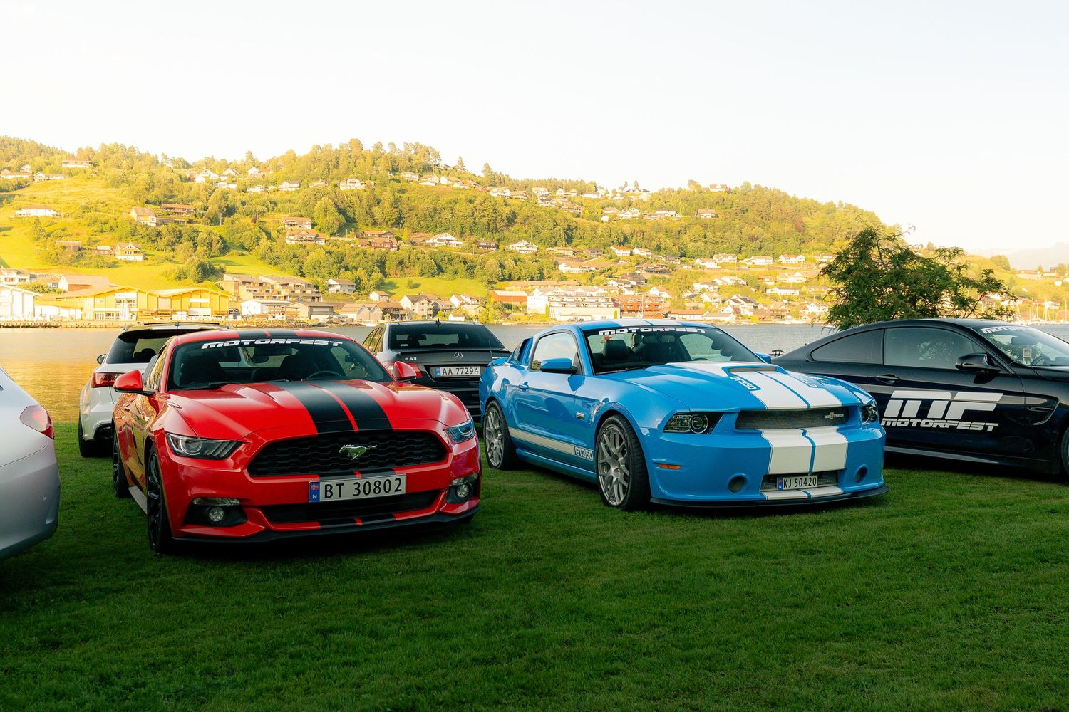 Red and blue Ford Mustang sports cars with racing stripes parked on a grassy field with a scenic hillside town in the background.