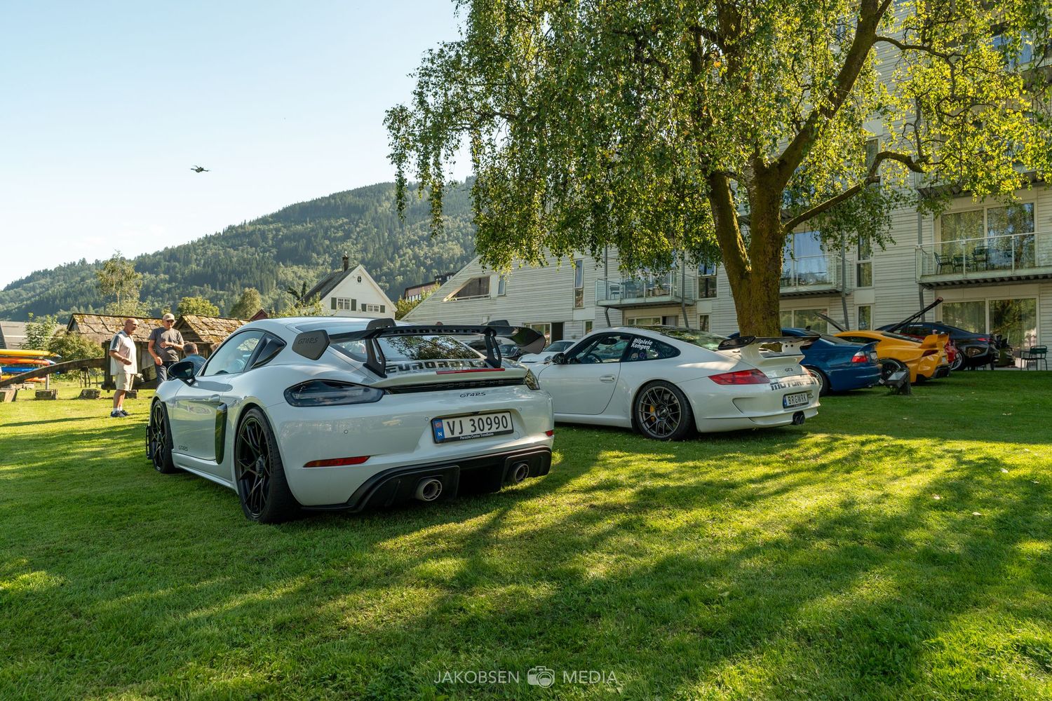 Luxury cars parked on a grassy area with trees creating a scenic outdoor display.