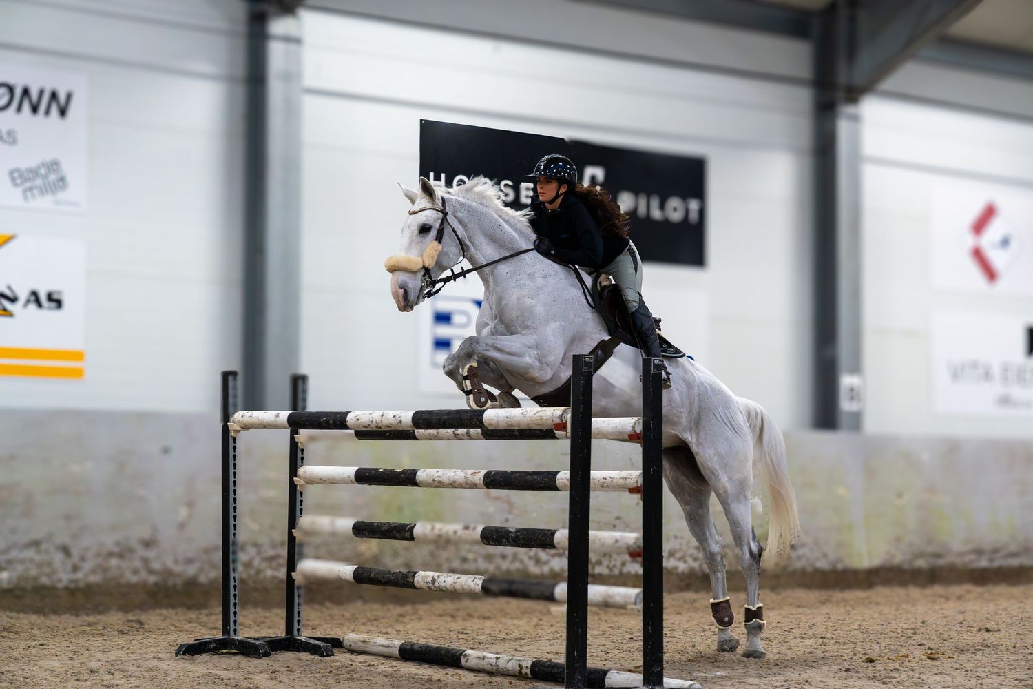A horse and rider perform a dressage test in an indoor arena with banners and signage visible on the walls.