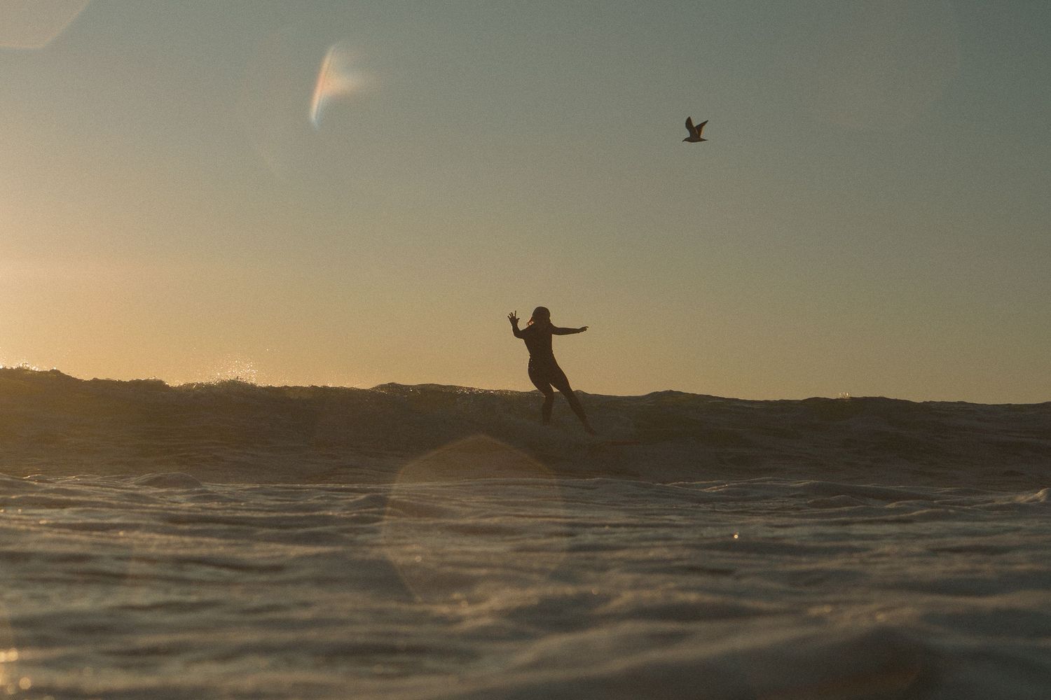 Waihi Surf