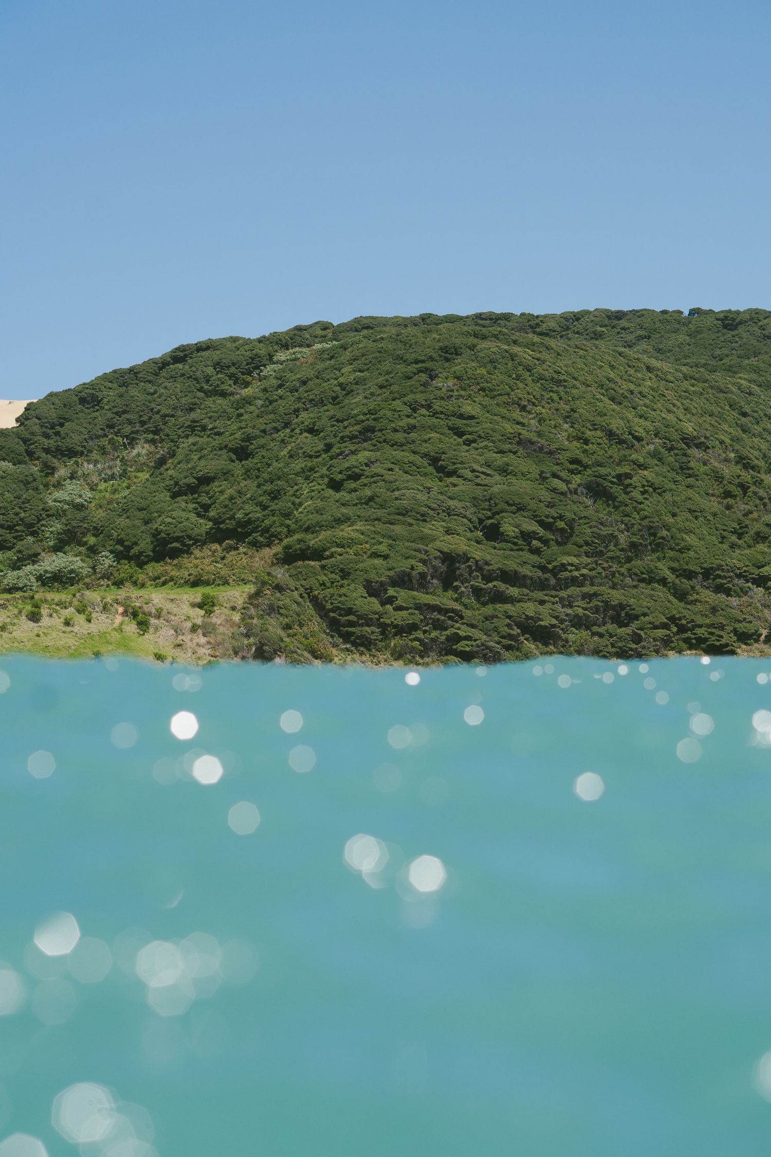 Turquoise waters meet lush green hillsides under a bright blue sky.