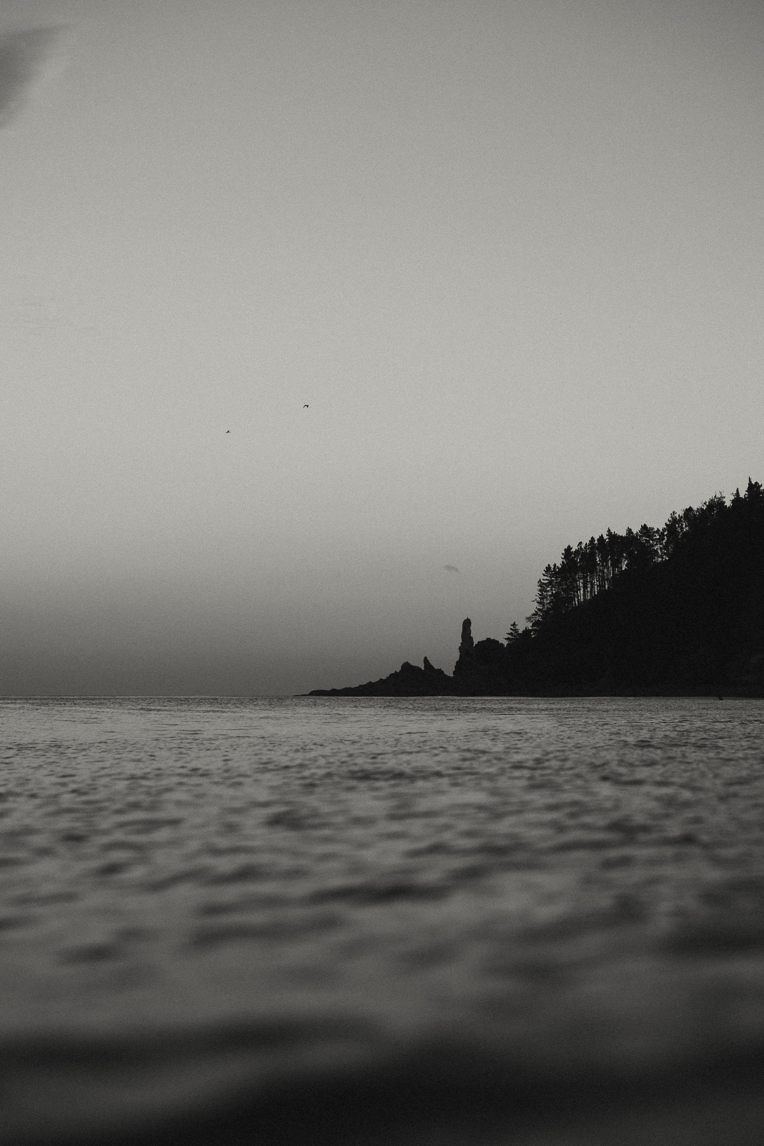 Dark seascape with tree-lined coastline silhouetted against misty horizon.