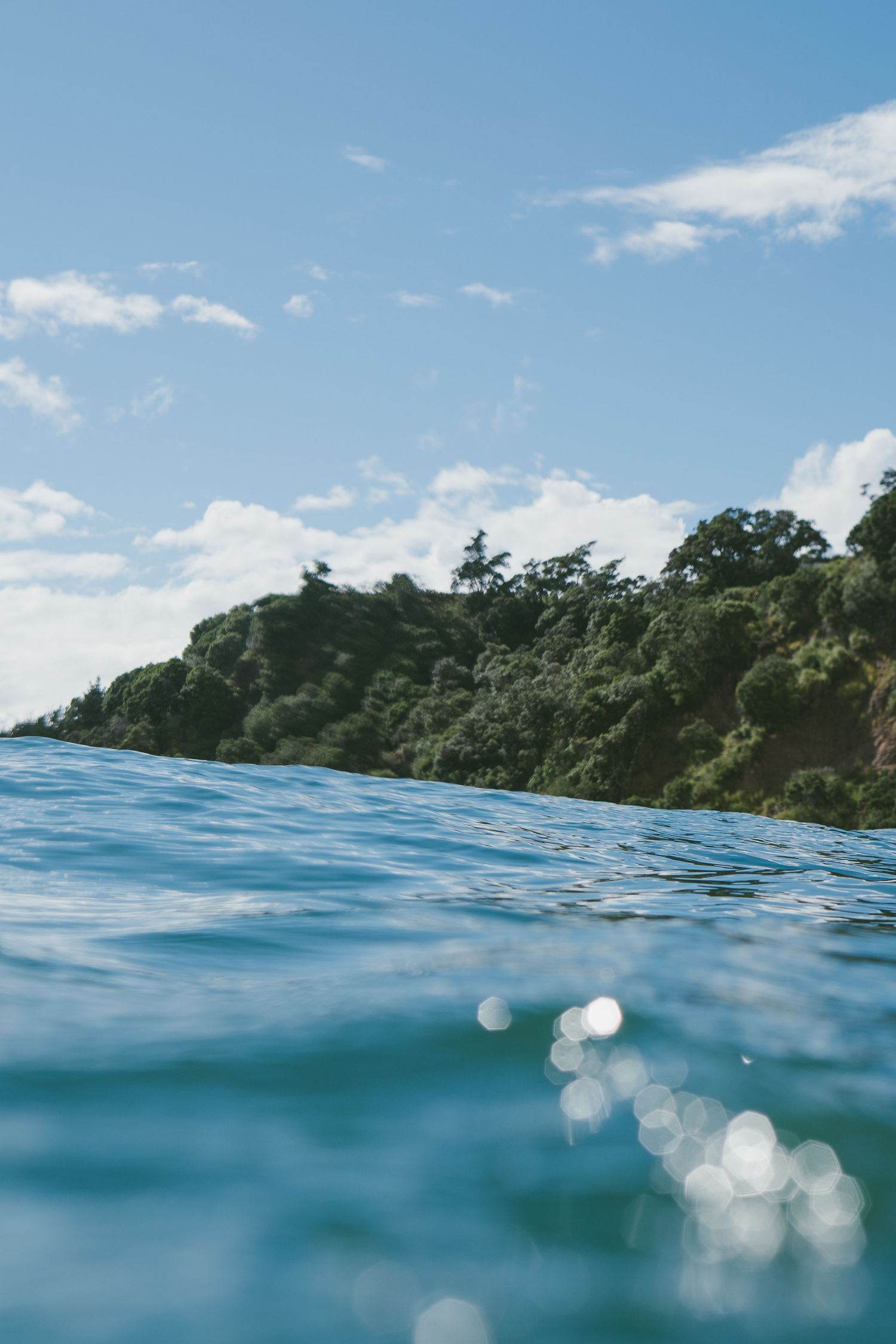 Sparkling turquoise ocean water with lush green coastline and blue sky.