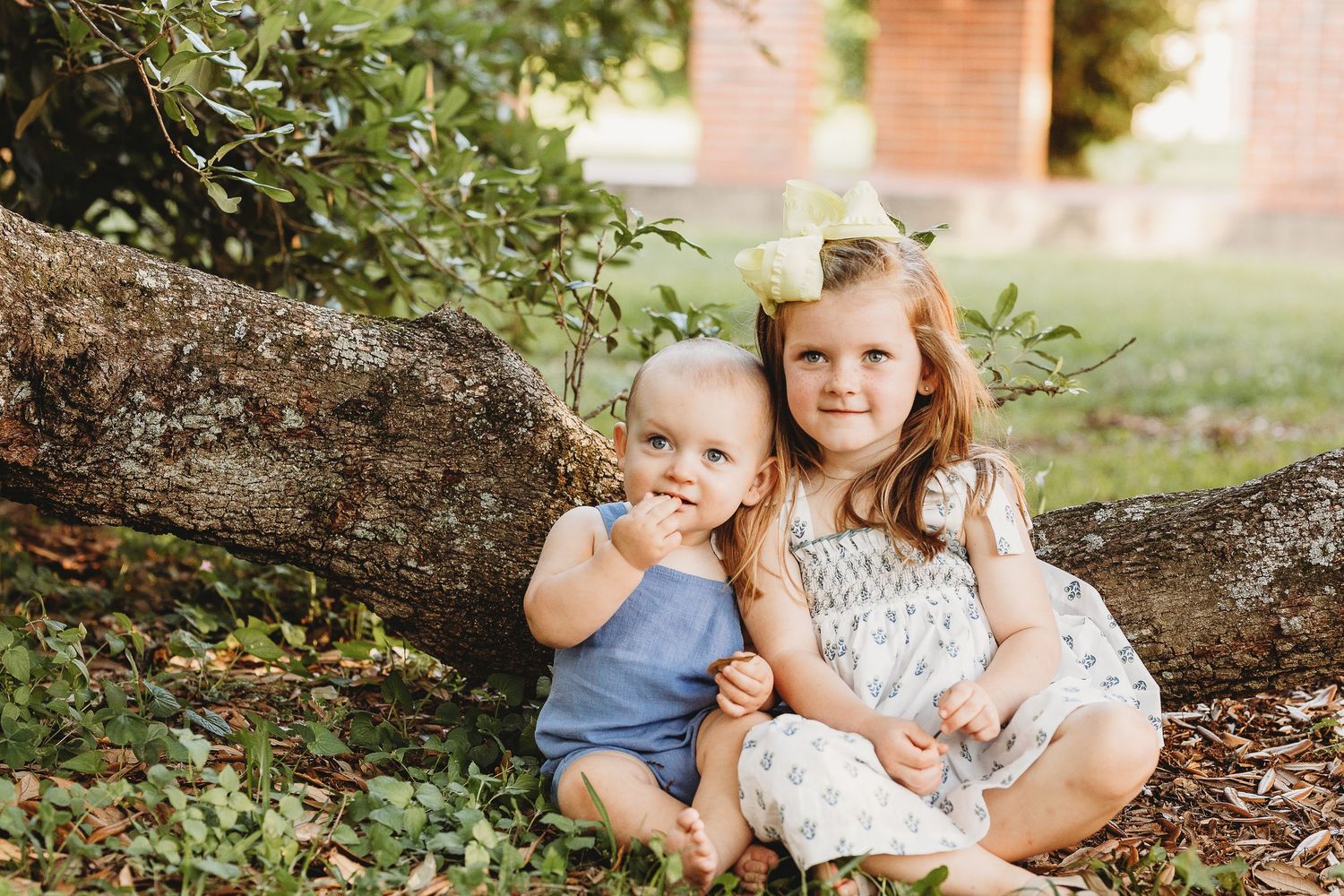 Two children sit together on a large tree root during an outdoor photo session.
