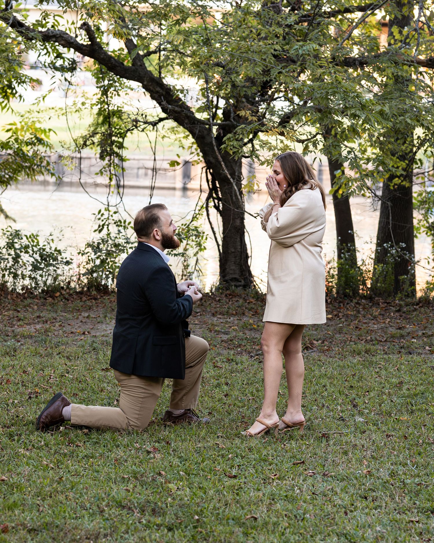 A romantic marriage proposal scene unfolds in a wooded outdoor setting with autumn leaves scattered on the ground.