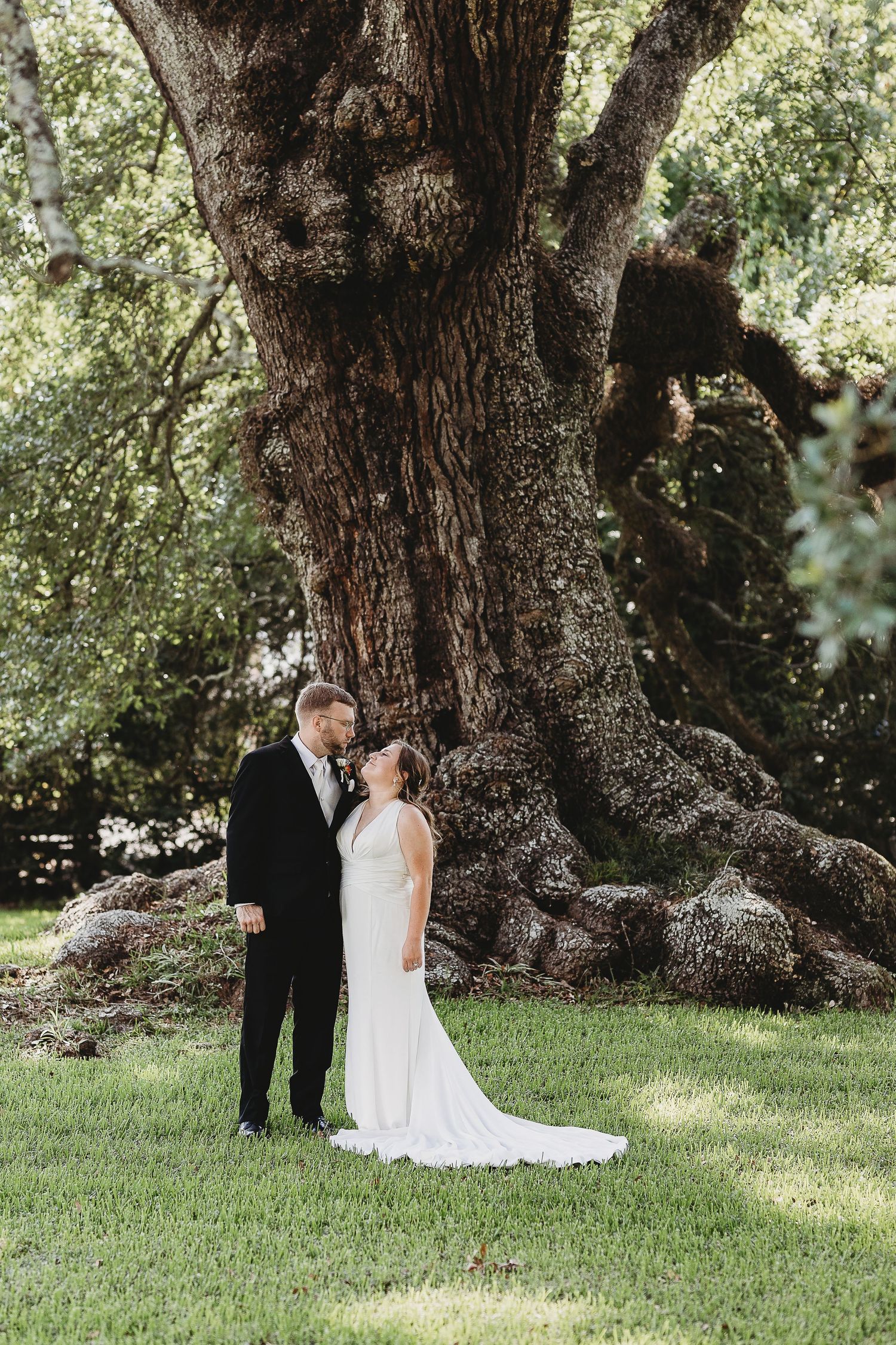 Wedding couple stands together under a majestic old oak tree on a grassy lawn.