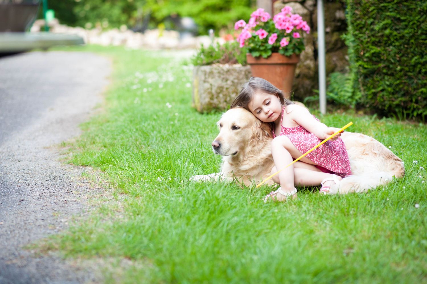 Portrait tendre d’une petite fille et de son chien, capturé par Vincent Bourdeix, photographe portrait dans l’Ouest lyonnais.