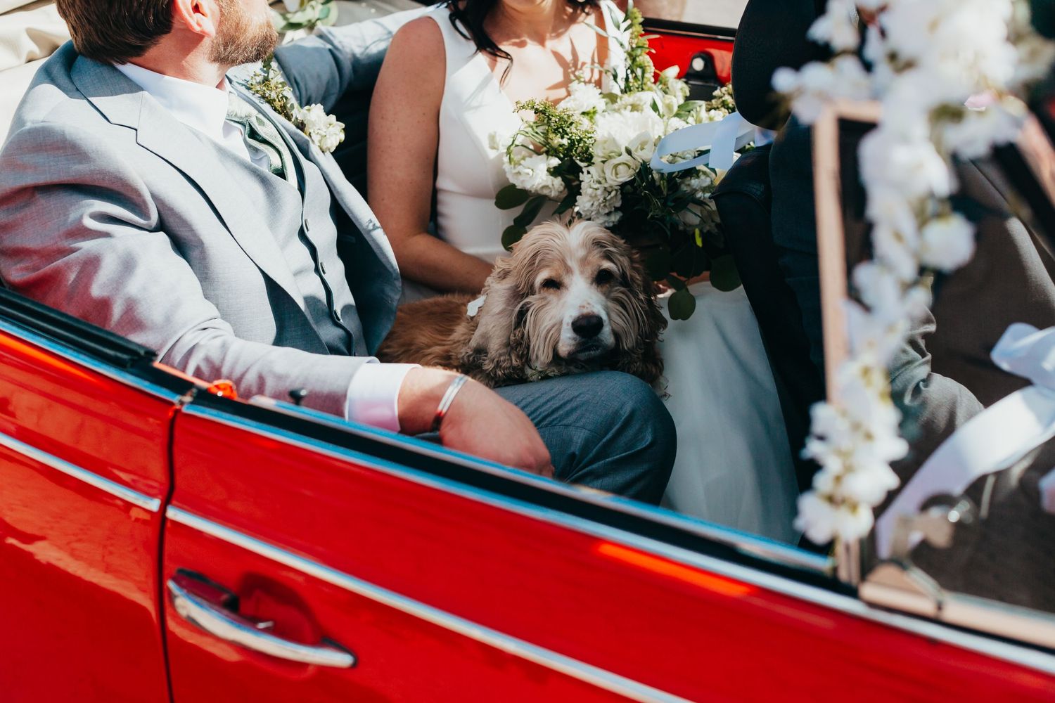 A couple sits in a classic red convertible with their fluffy dog and white floral decorations.