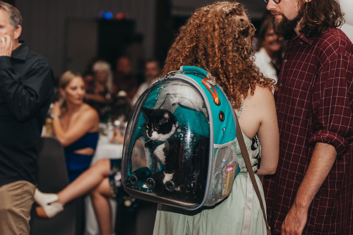 A unique clear backpack carrying a cat is visible during a wedding reception.