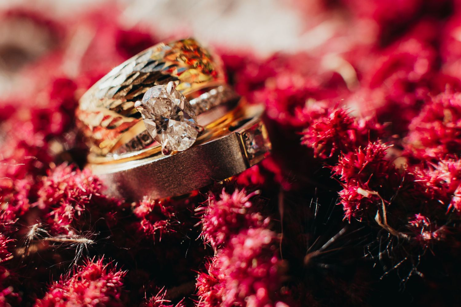 Wedding rings nestled among vibrant red flowers in a macro shot.