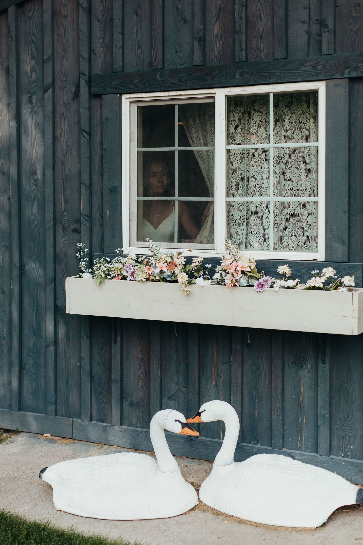 Rustic window box with flowers above two decorative white swan figures against dark wooden siding.