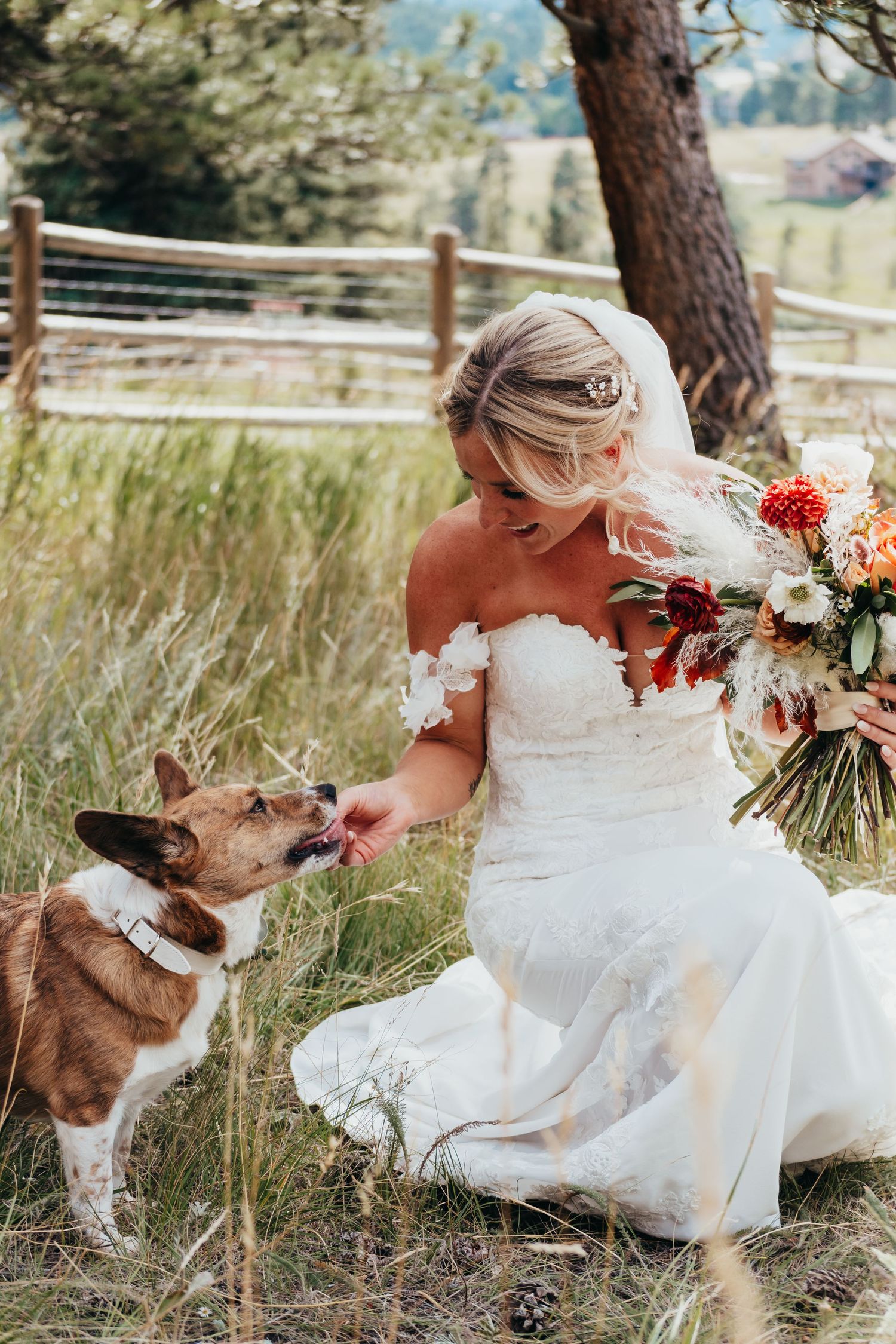 A person in a white wedding dress kneels in a grassy field with a floral bouquet while greeting a brown and white dog.
