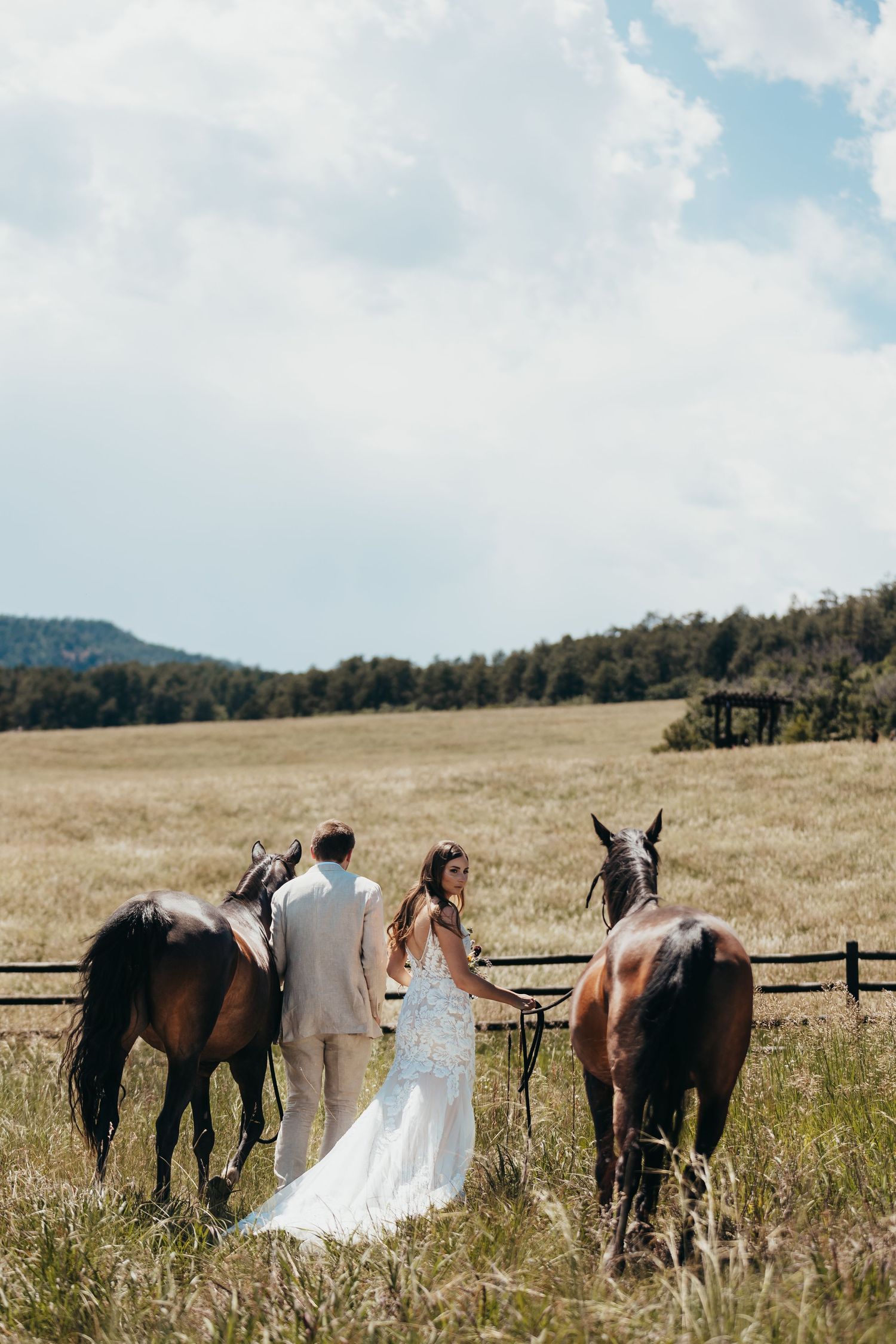 A wedding couple stands between four horses in a scenic mountain field with wooden fencing.