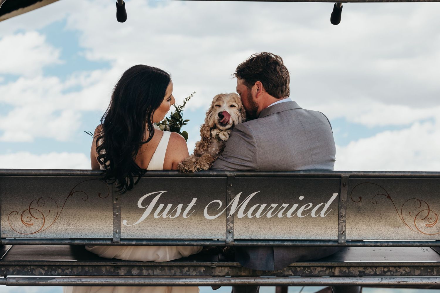Newlywed couple with their dog sitting under a 'Just Married' sign on their wedding day.