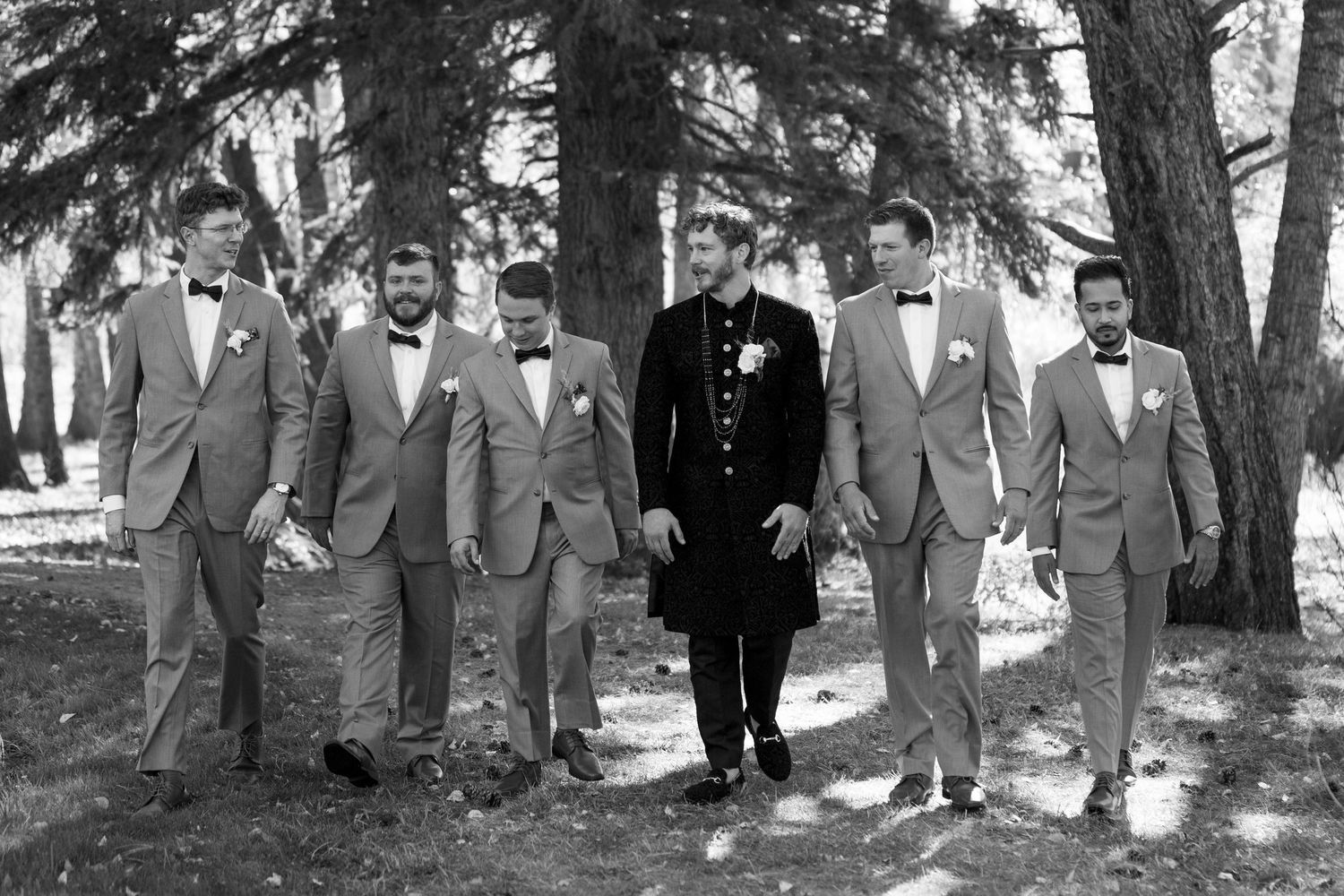 Wedding party in formal attire walking together through a grove of tall pine trees.