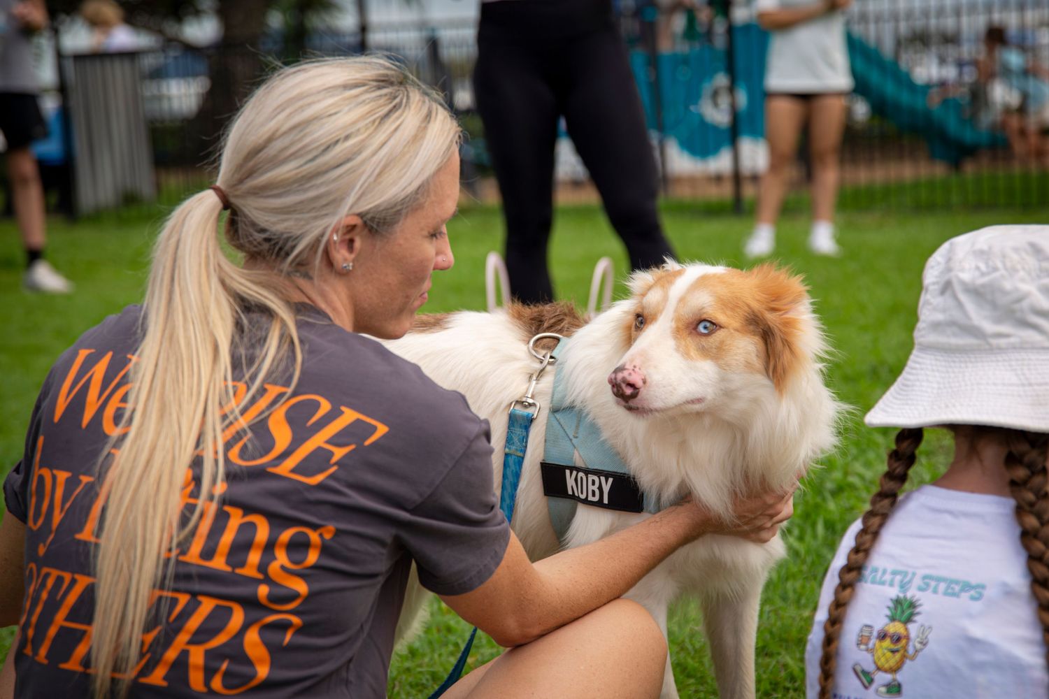 Dog at community walking event yeppoon