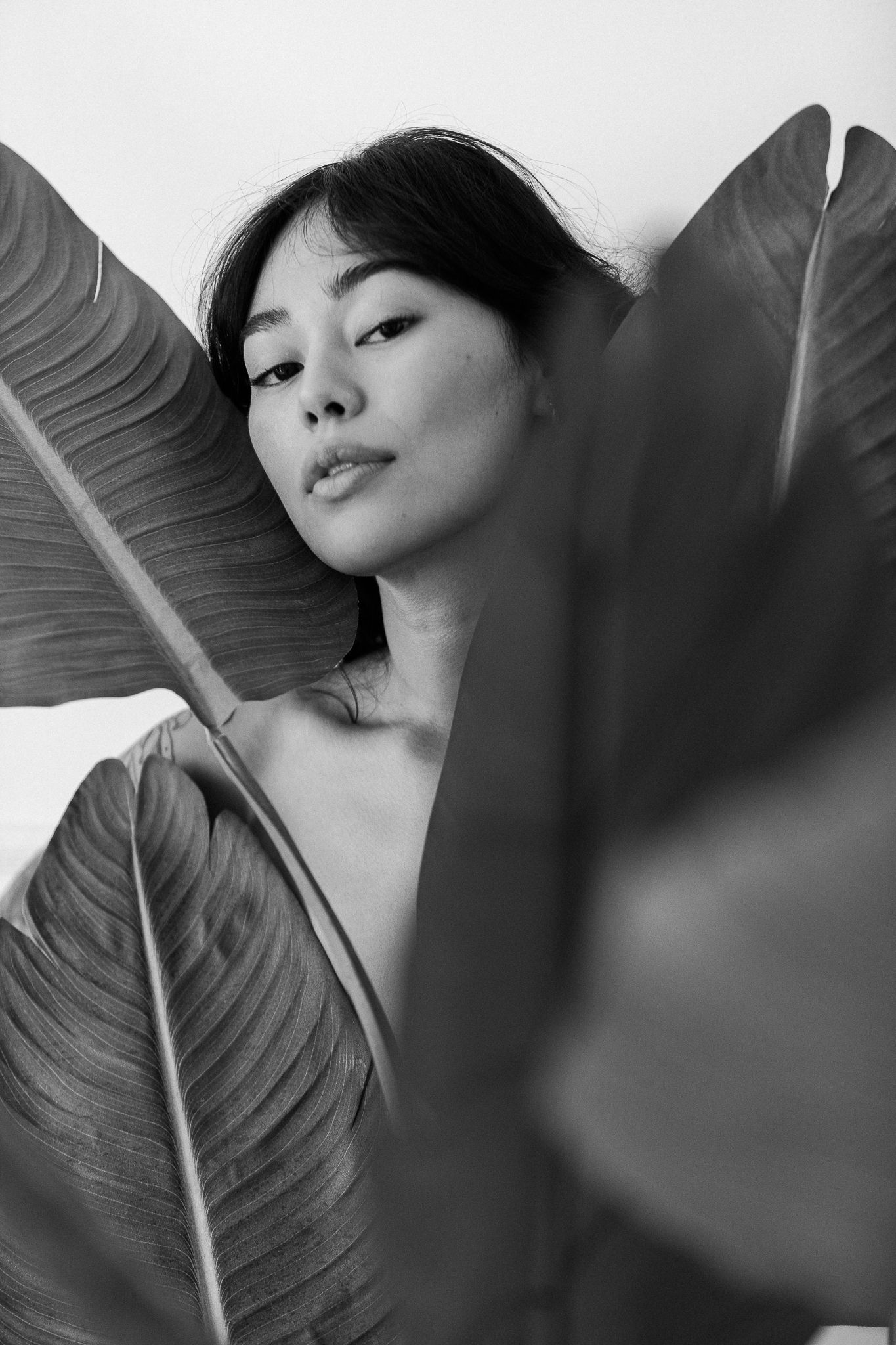 Minimalist black and white portraits with tropical leaves creating natural framing.