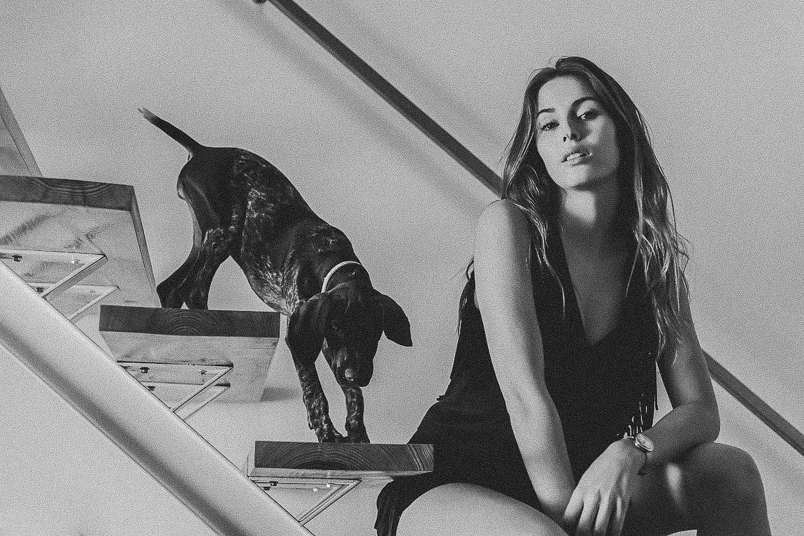 Black and white photo of two dogs descending stairs while someone sits on the steps.