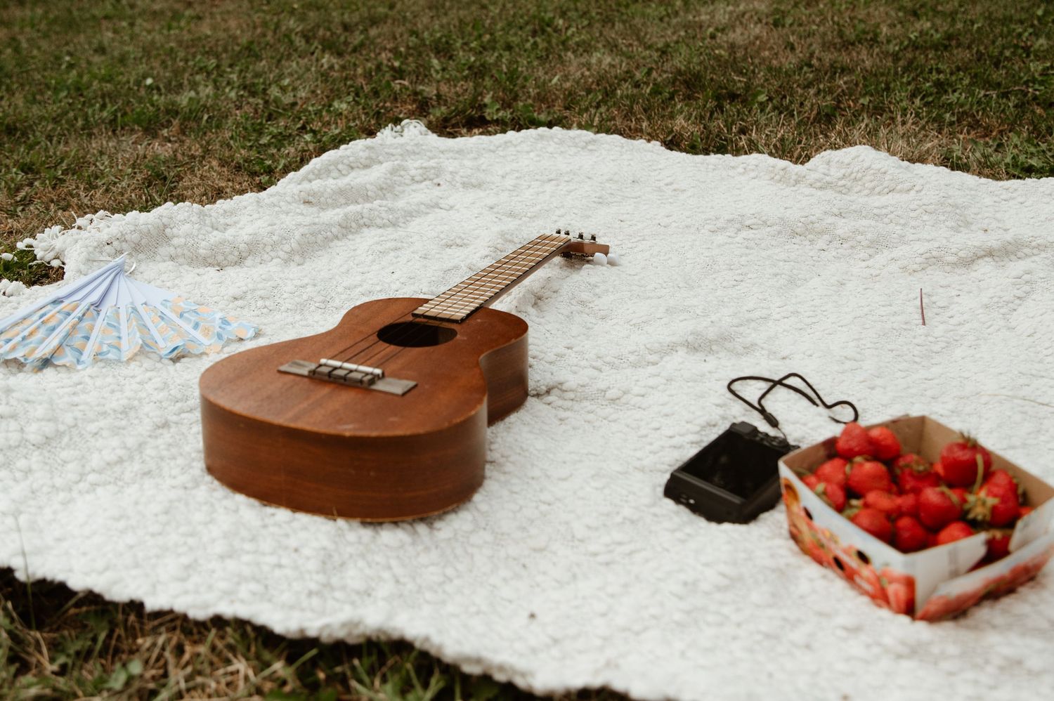 An acoustic guitar and container of strawberries rest on a white blanket outdoors.
