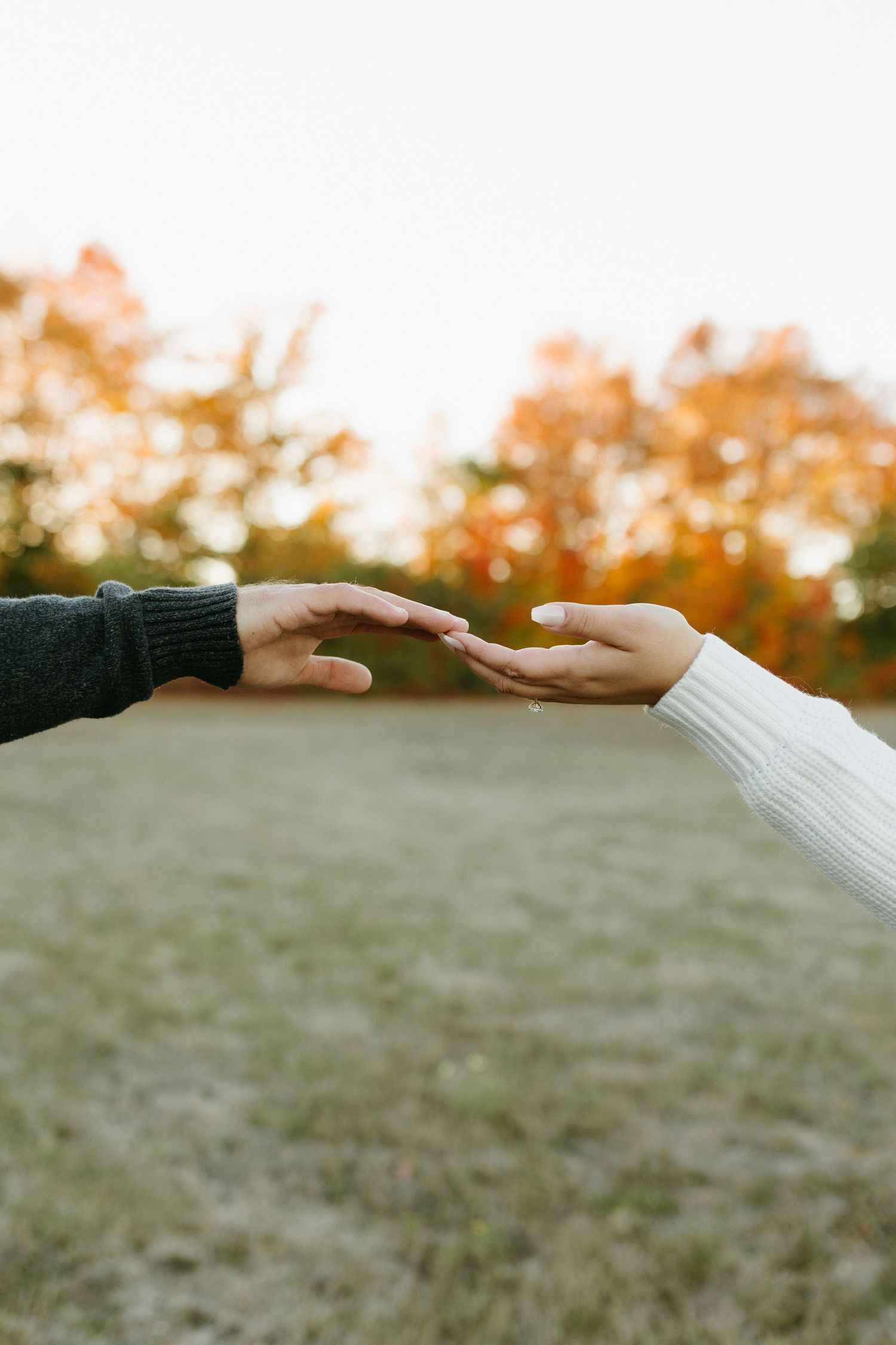 Two hands reaching towards each other against a warm autumn background with orange foliage and sunlight.