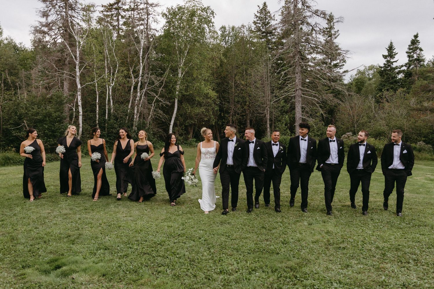 Wedding party in formal attire poses together on a lush green lawn surrounded by evergreen trees.