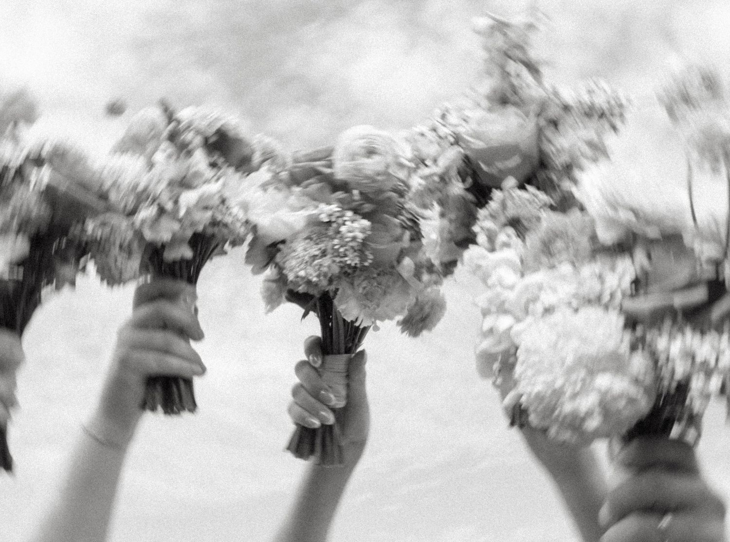 A sequence of black and white photos showing hands holding delicate white flowers against a light background.