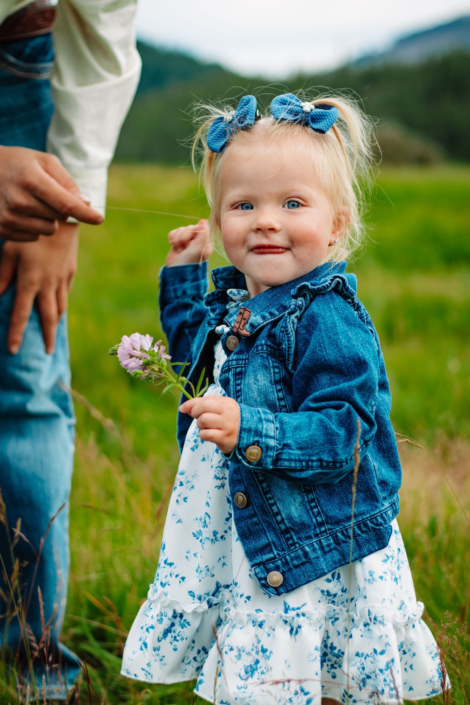 Adorable blonde toddler girl in denim jacket holding wildflower in green mountain field.