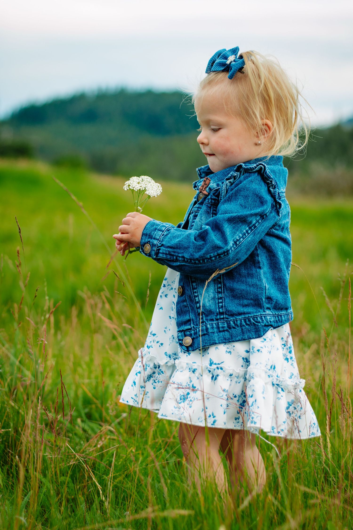 Toddler girl in denim jacket and floral dress holding a white wildflower in a green meadow.